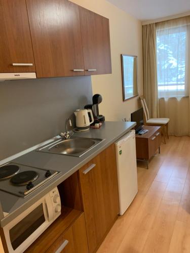 Studios -Villa Park SV in Бороветс