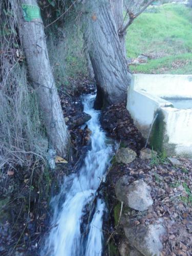 El Molino de las Palomas - image 7