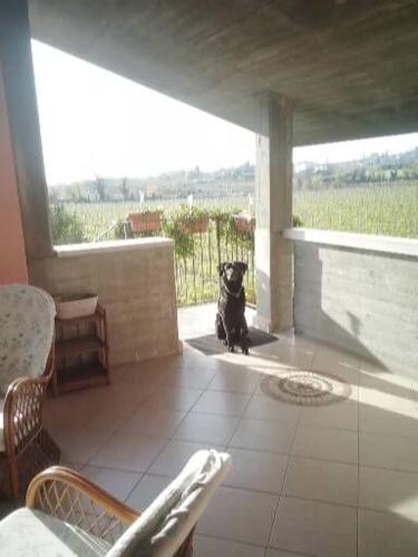 Uno sguardo sulla Valpolicella