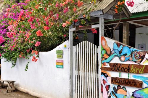 Blackbird Guesthouse Lombok