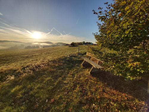 Omgeving, AnNo - Die Wohlfühl - Idylle in Grünbach_Kirchdorf (AnNo - Die Wohlfuhl - Idylle in Grunbach_Kirchdorf) in Kirchdorf i. Wald