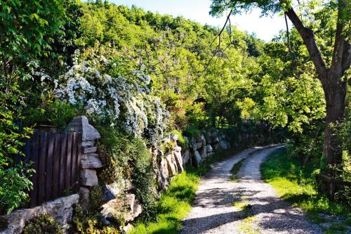 Casetta nel Bosco Naturas con piscina privata e gratuita