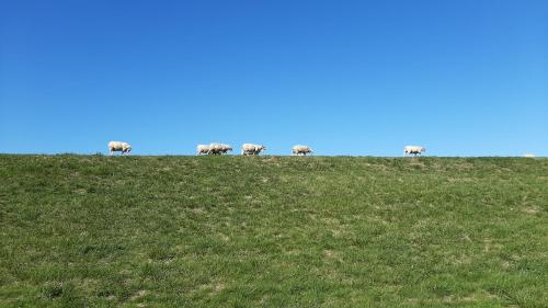 FeWo-Butze 1 Dornumersiel 329m von Krebsgang entfernt
