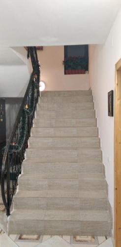 Villa Delle Camelie