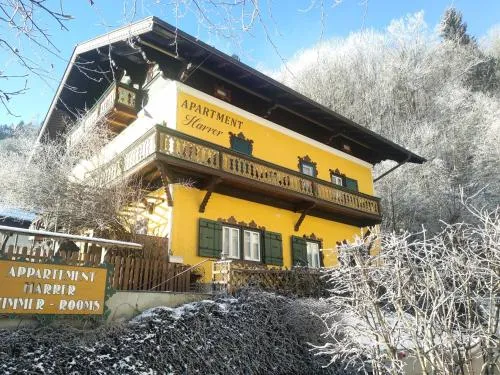 Appartement Harrer in Zell am See, Österreich