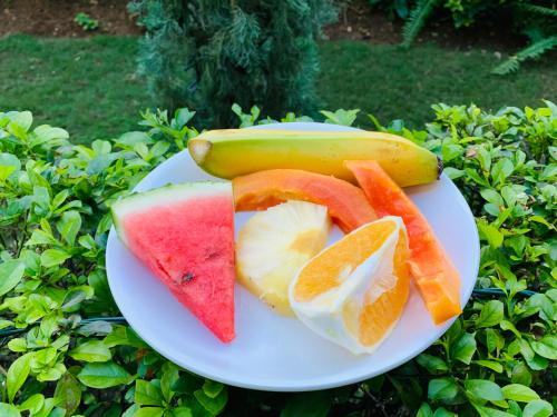 Mynt Retreat Bed & Breakfast – Montego Bay, NM