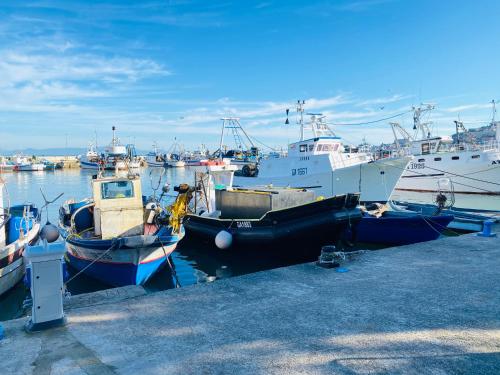New Luxus Apartment in Gaeta with sea view on harbour