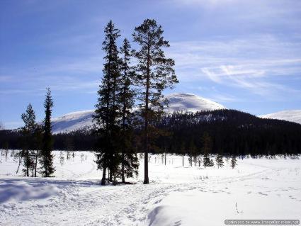 Alrededores, RöhköStar 108 (RohkoStar 108) in Akaslompolo