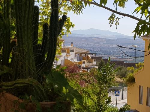 Piso en el Albaicin alto, junto al Mirador de San Miguel Alto. Granada.