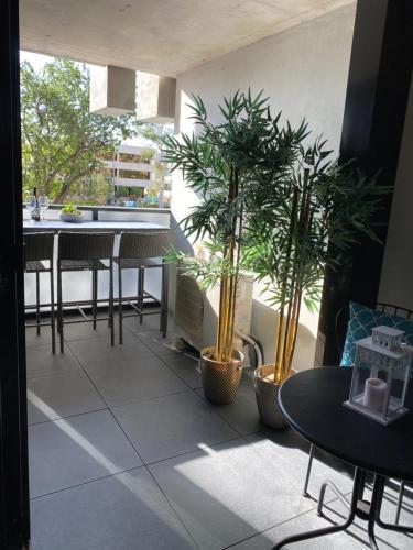 Midnight Luxe 1 BR Executive Apartment in the heart of Braddon Pool Sauna Secure Parking Wine WiFi N