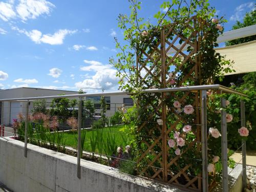 Schöne 2-Zimmerwohnung mit Gartensitzplatz, nahe Sursee