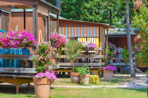 campingtisch leicht testsieger Campingtisch SOLID LITEC+ main image 1
