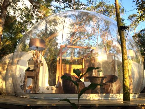 Bubble Lodge