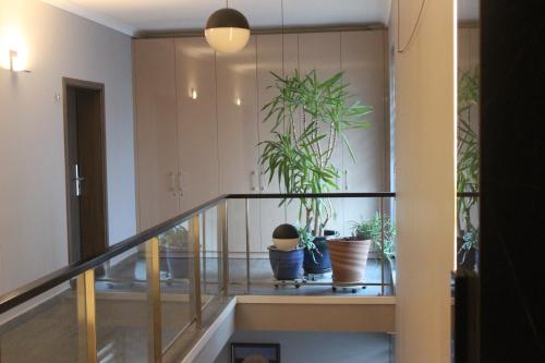 Cluj Business Class - image 8