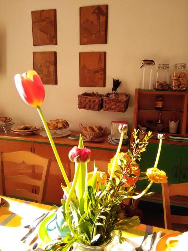 Bed and breakfast SoleLuna della Solidarietà