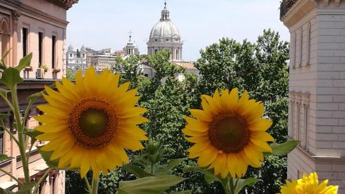 Residenza Cavallini, Rome