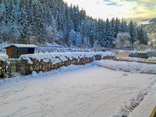  Apartement Austria by Alpen Apartments in Saalbach-Hinterglemm