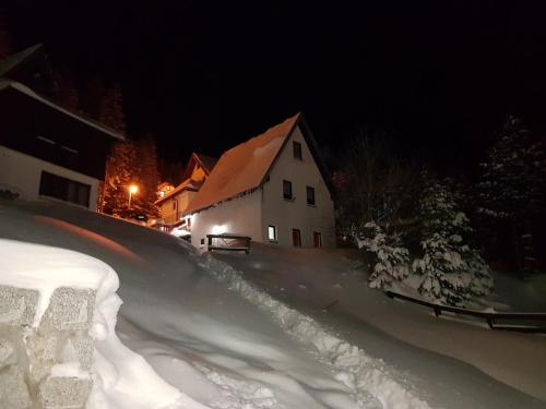 Apartment Petrovic in Kopaonik