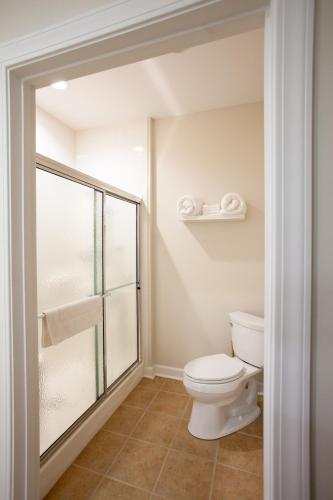The Respite - Bed and Breakfast - image 7