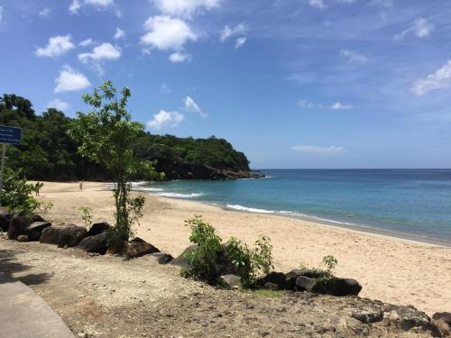 Strand, Les Pommes Lianes in Deshaies