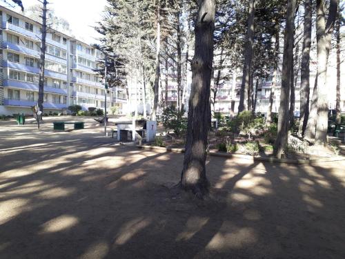 Departamento Bosques del Tabo