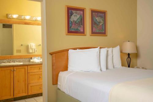 棕榈泉雷恩特里西马伦高尔夫度假酒店 棕榈泉雷恩特里西马伦高尔夫度假酒店