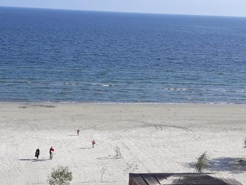 Sandy beach 1