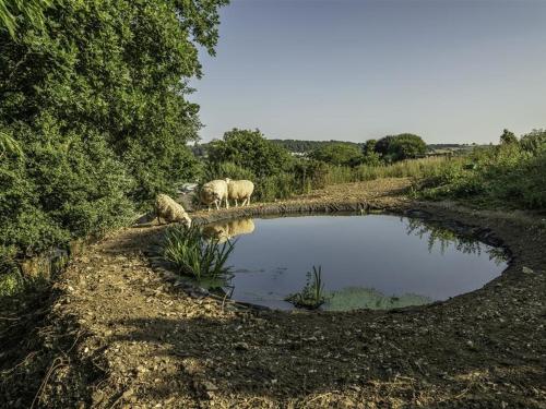 Leys At Valley View Farm - image 3