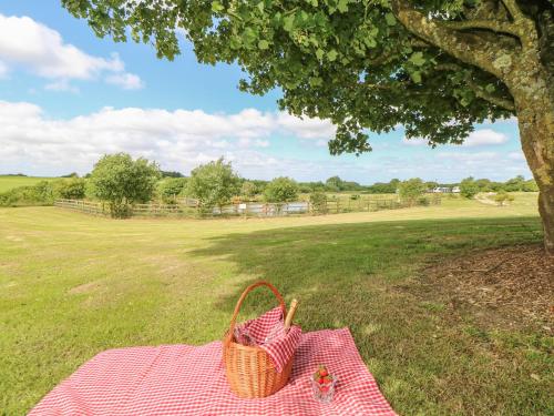 Beech Cottage - image 8