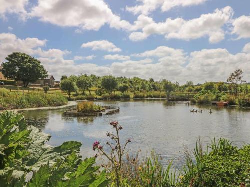 Beech Cottage - image 10