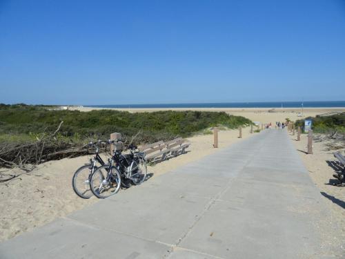 Vakantiewoning Akkerrand Kamperland in 金帕蘭