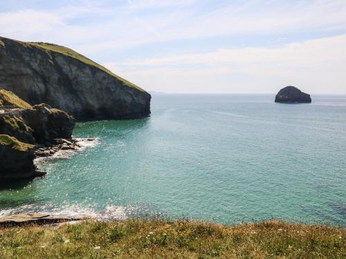 Salty Sea Dog - image 2