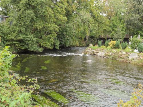 Samphire - image 7