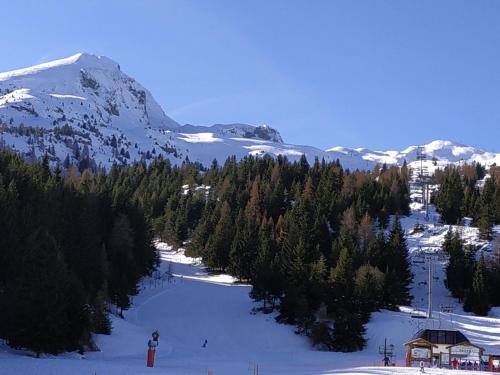 Appt 10p Wifi Confort 150m activités, pistes, commerces