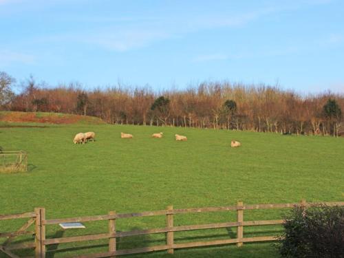 Cloverwell - image 12