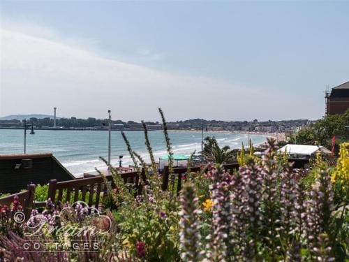 Sunny Days - image 11