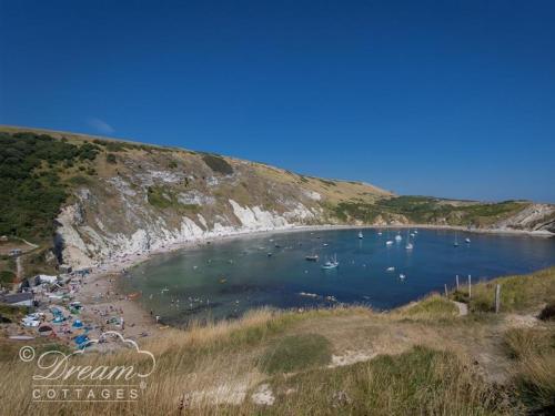 Sunny Days - image 10