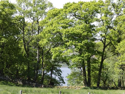 Balmeanoch - image 2