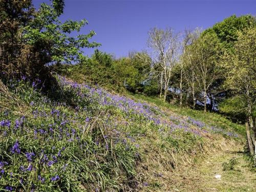 Valley View Farm Annexe in Tresmeer