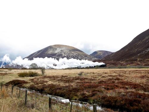 Roseburn - image 7