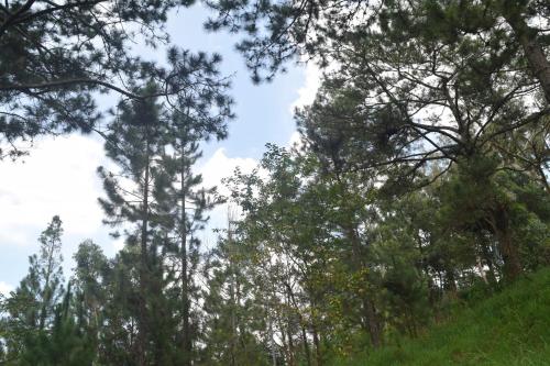 Hotel Phạm Duy – Dalat