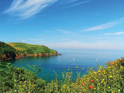 Cove View - main image