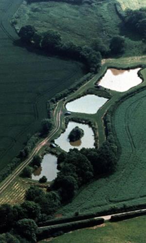 Newcourt Barton - image 7