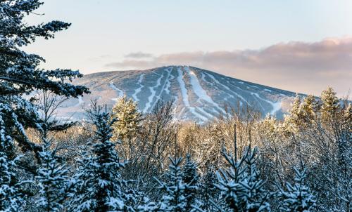 Long Trail House Condominiums at Stratton Mountain Resort in Stratton Mountain, USA