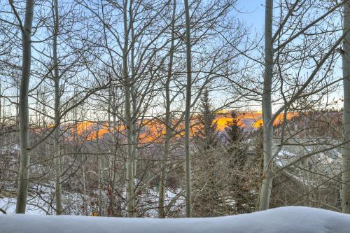 Mountain Luxury Townhome-Ski in out & Wood Burning Fireplace - image 4