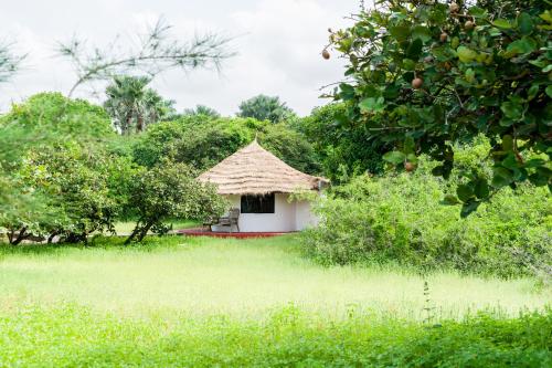 Tamba Kuruba Eco-lodge