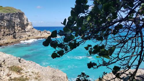 Cocktail Caraïbes, Résidence de Tourisme Meublée - Location saisonnière - Saint-Louis