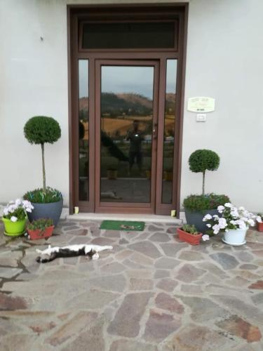Il Faggio 17 B&B Artena - image 8