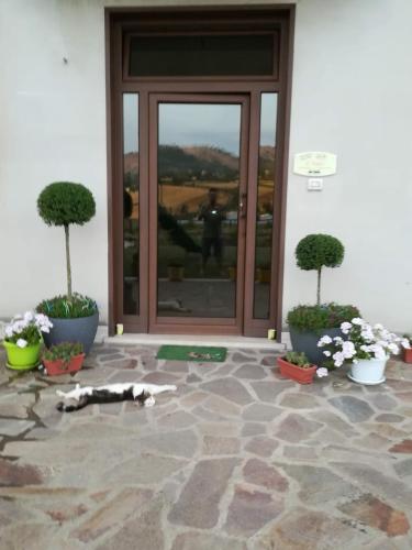 Il Faggio 17 B&B