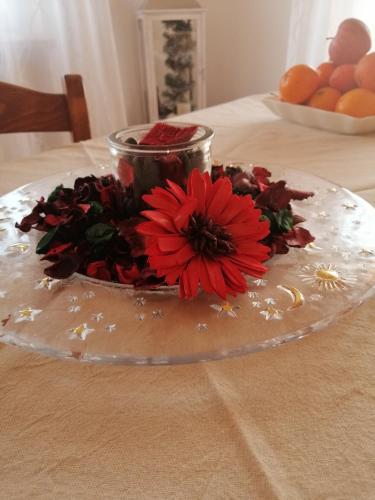 B&B Belli Dentro